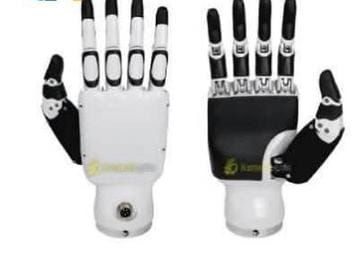 Beijing Inspire-Robotics · RH56 Series