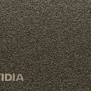 NVIDIA DGX H200