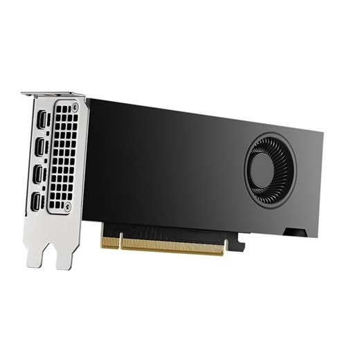Dell NVIDIA RTX 2000 Ada Generation, 16 GB GDDR6, half height, PCIe 4.0 x 8, 4 mDP Graphics Card