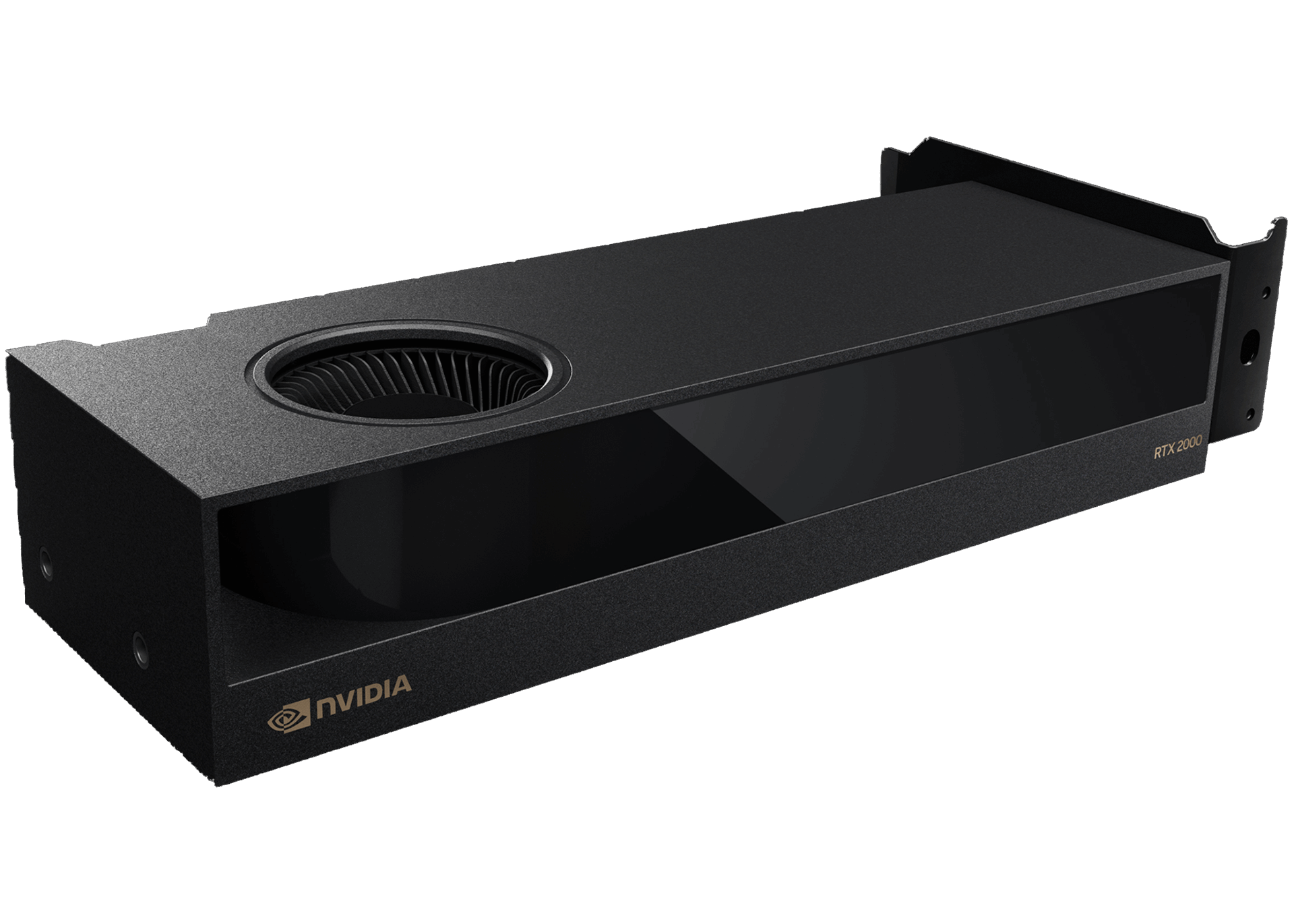 PNY NVIDIA RTX 2000 Ada Generation Professional Graphics Board