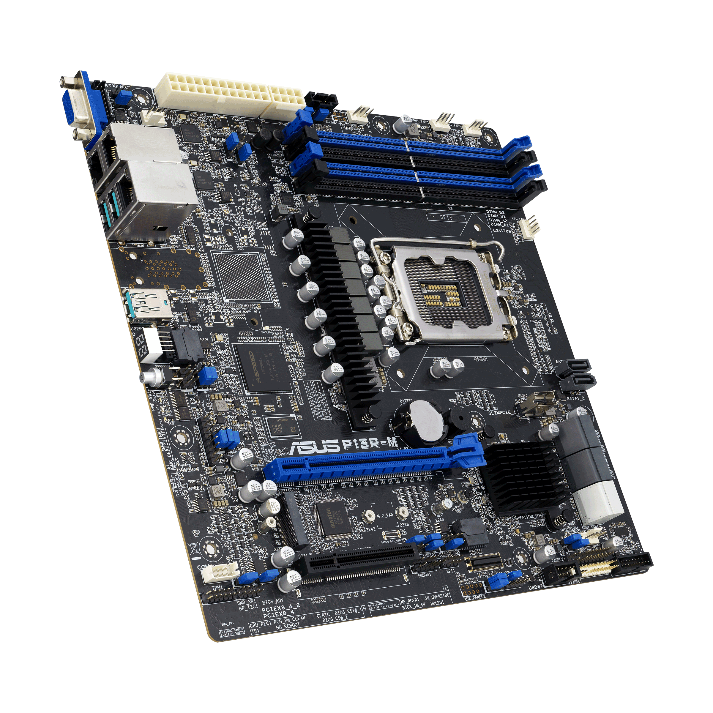 Server Motherboards P13R-M