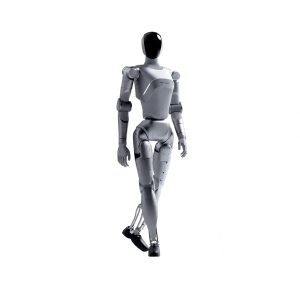 LimX Luna Interactive Humanoid Robot